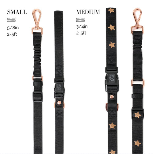 3-in-1 City Dog Leash - Rockstar