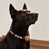 Chunky Acrylic Beaded Dog Necklace (3 colors)