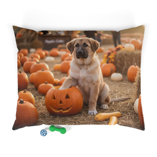 Autumn Pumpkin Patch Pet Bed
