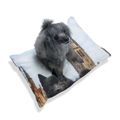 Schipperke Pet Bed