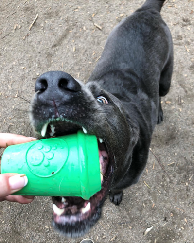 Coffee Cup eDispener Durable Rubber Chew Toy and Treat Dispenser
