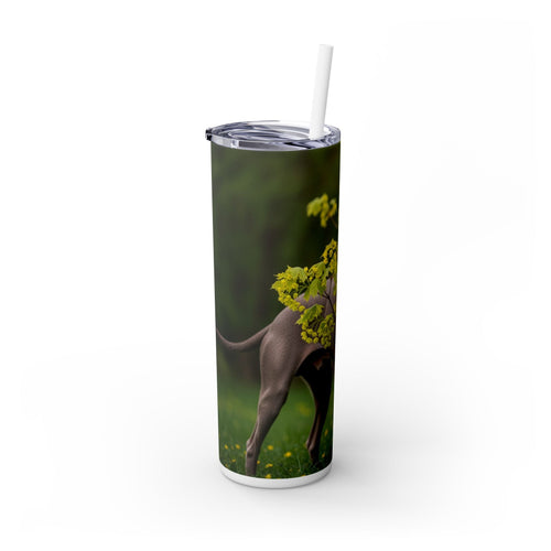 Skinny Tumbler with Straw – 20 oz Stainless Steel Cup