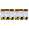 Fortune Moss Kit Office Desktop Decor