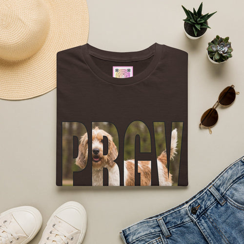 Petit Basset Griffon Vendéen (PBGV) Tee Shirt