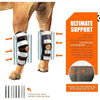NeoAlly 3-in-1 Long Rear Leg Hock Brace - Rigid and Spring Inserts | Safety Reflective Straps [Long Version] (Pair)