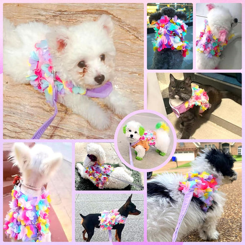 Luxury Floral Dog Harness and Leash Set – 3D Petal Puppy Vest Harness for Small Dogs & Cats