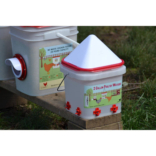 RentACoop 2 Gallon BPA-Free Plastic Bucket Chicken Waterer Set with 4 Horizontal Nipples - Corner Placement 2025 Version