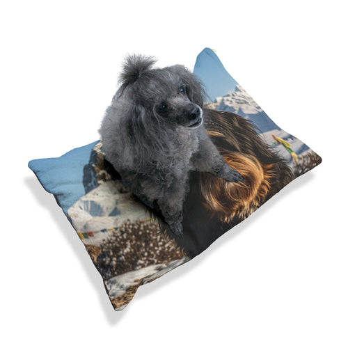 Tibetan Kyi Apso Pet Bed
