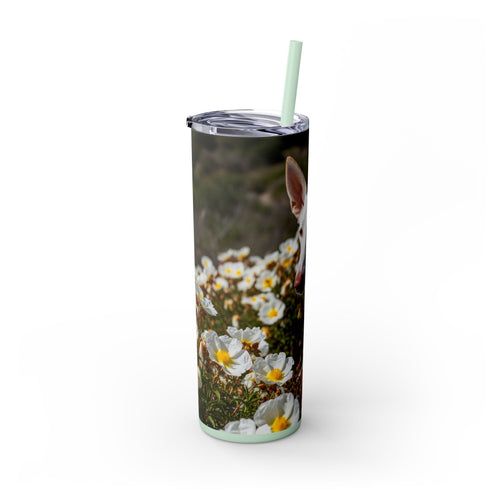 Skinny Tumbler with Straw – 20 oz Stainless Steel Cup