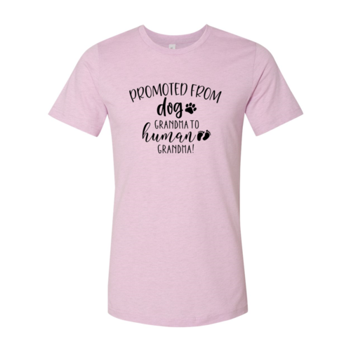 Promoted from Dog Grandma to Human Grandma T-Shirt