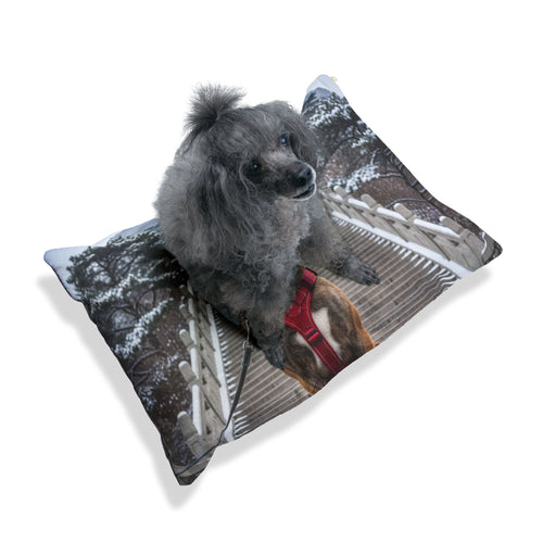Chongqing Dog Pet Bed