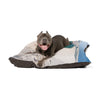 Brazilian Terrier Pet Bed