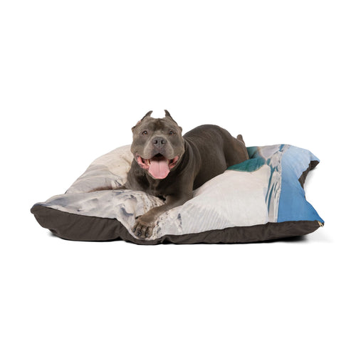 Brazilian Terrier Pet Bed