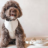 The Essentials Walk Set - Bone