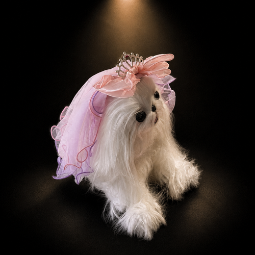 Pink Blue Tulle Tiara Pet Veil Headpiece
