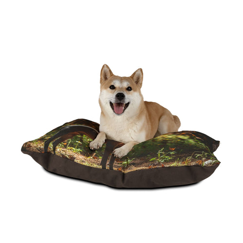 Xoloitzcuintli Pet Bed
