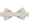 Flax Lines Dog Bow Tie