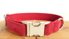 Luxury Dog Traction Collar