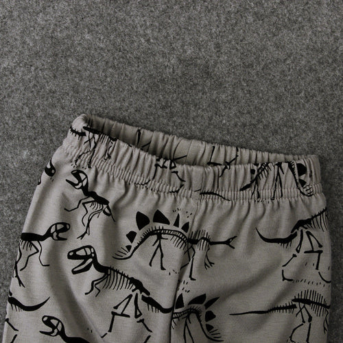Dinosaur casual pants children's clothing