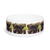 Ceramic Pet Bowl – 16 oz Dog Feeding Bowl