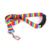 Rainbow Stripes Dog Leash
