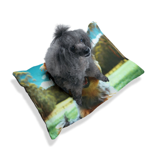 Pet Bed – Plush Dog Bed, 3 Size Options
