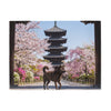 Kai Ken Blanket