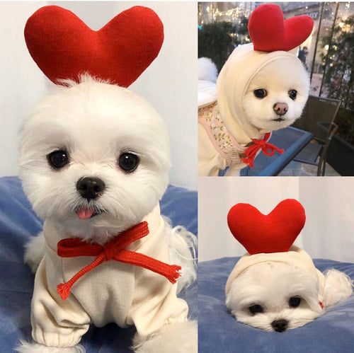 Two-legged Hooded Dog Clothes