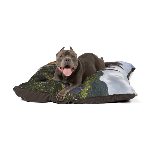 Telomian Pet Bed