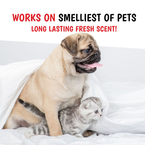 Wet Kiss Dog Cologne By Warren London - 2 Oz or 16 Oz