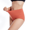 High Waist Briefs Plus Size Fat
