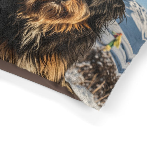 Tibetan Kyi Apso Pet Bed