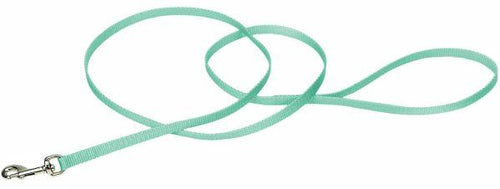 Coastal Pet Single-Ply Nylon Dog Leash Teal  4'L x 3/8W