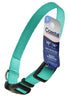 Coastal Pet Teal Nylon Tuff Dog Collar  10-14L x 5/8W