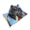 Pet Bed – Plush Dog Bed, 3 Size Options