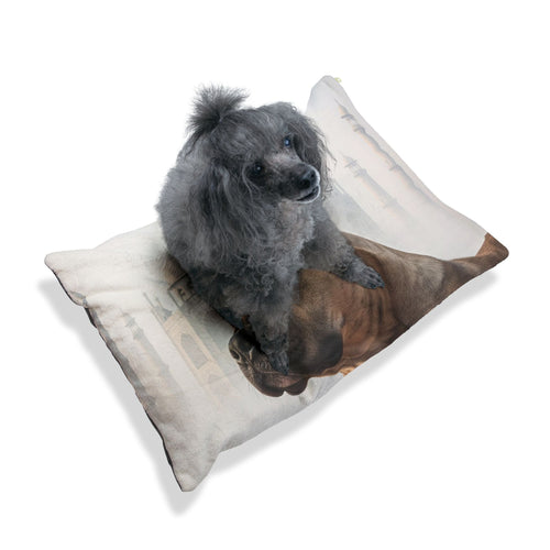 Bully Kutta Pet Bed