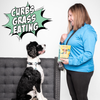 Crunchy Dog Biscuit Variety Bundle, 4-Pack