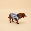 Blue Striped Cotton Tank Top