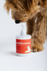 Spritz (Dog Shampoo & Conditioner Duo)