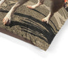 Chihuahua Pet Bed