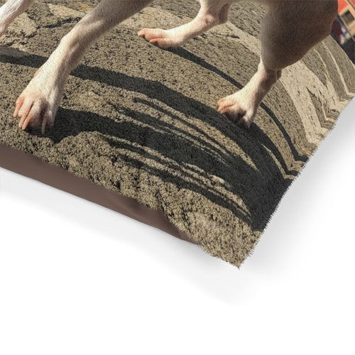 Chihuahua Pet Bed