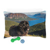 Newfoundland Pet Bed