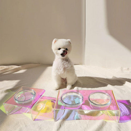 Acrylic Glass Pet Dazzling Food Bowl