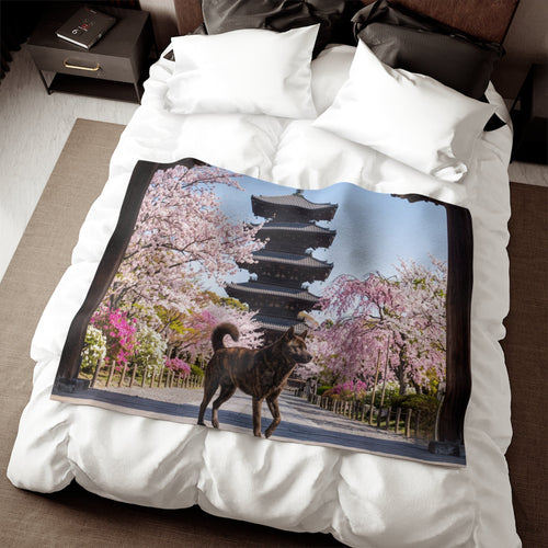 Kai Ken Blanket