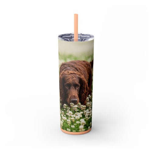 Skinny Tumbler with Straw – 20 oz Stainless Steel Cup