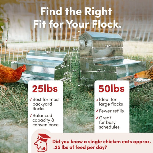 RentACoop 40 lb Automatic Treadle Chicken Feeder