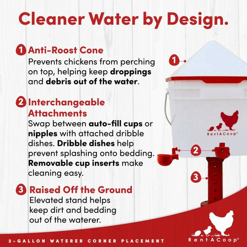 RentACoop 2 Gallon Chicken Waterer with 4 Auto-Fill Water Cups and 4 Horizontal nipples