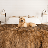 PupProtector™ Waterproof Throw Blanket - Sable Tan