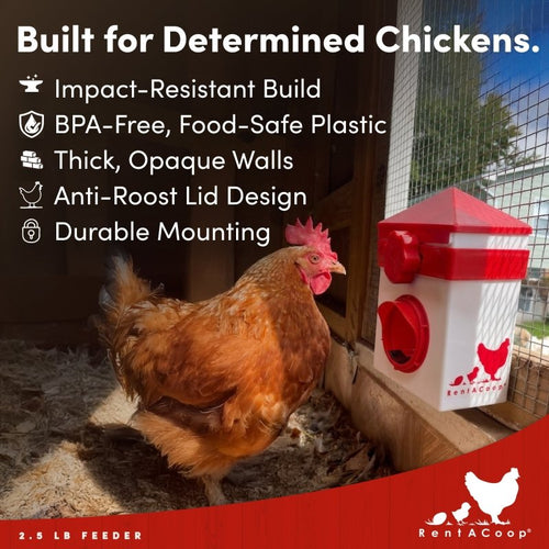 RentACoop Chick2Chicken 2.5lb BPA-Free Single-Port Feeder