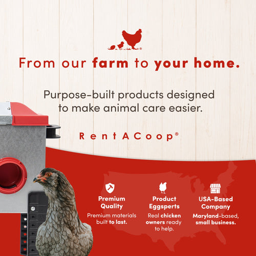 RentACoop Flock Feeder 65 lb - Large Capacity, Weatherproof Metal 6-Port Feeder for Adult Chickens, Turkeys, Ducks, and More